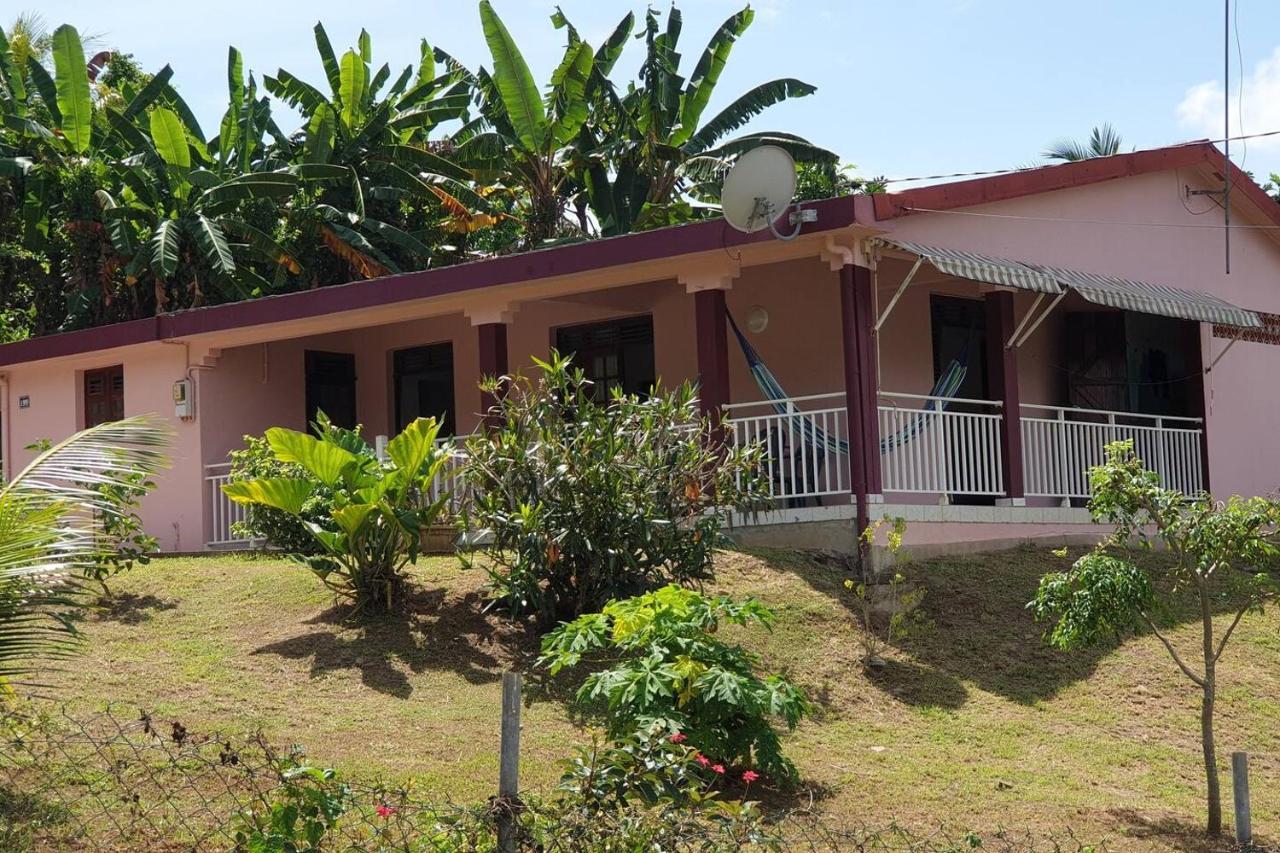 Le Petit Robert Maison F3 Plein Pied Le Robert Luaran gambar