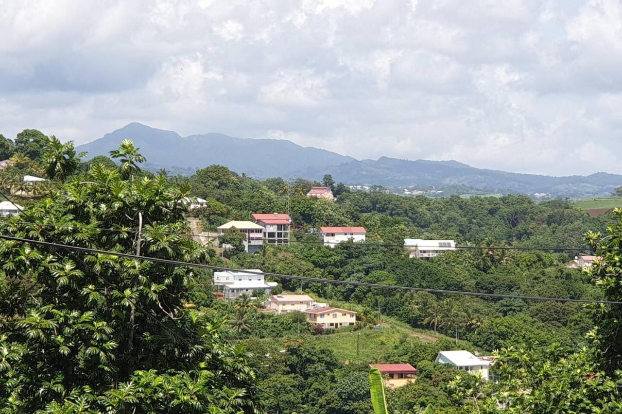 Le Petit Robert Maison F3 Plein Pied Le Robert Luaran gambar