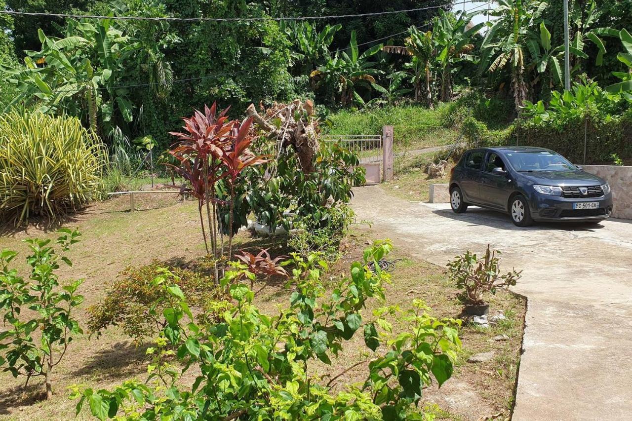 Le Petit Robert Maison F3 Plein Pied Le Robert Luaran gambar
